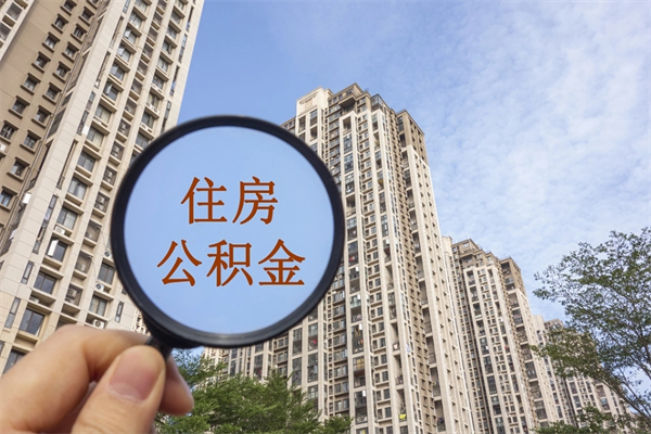 公积金还看征信吗吗_漳州公积金代办在职离职封存服务